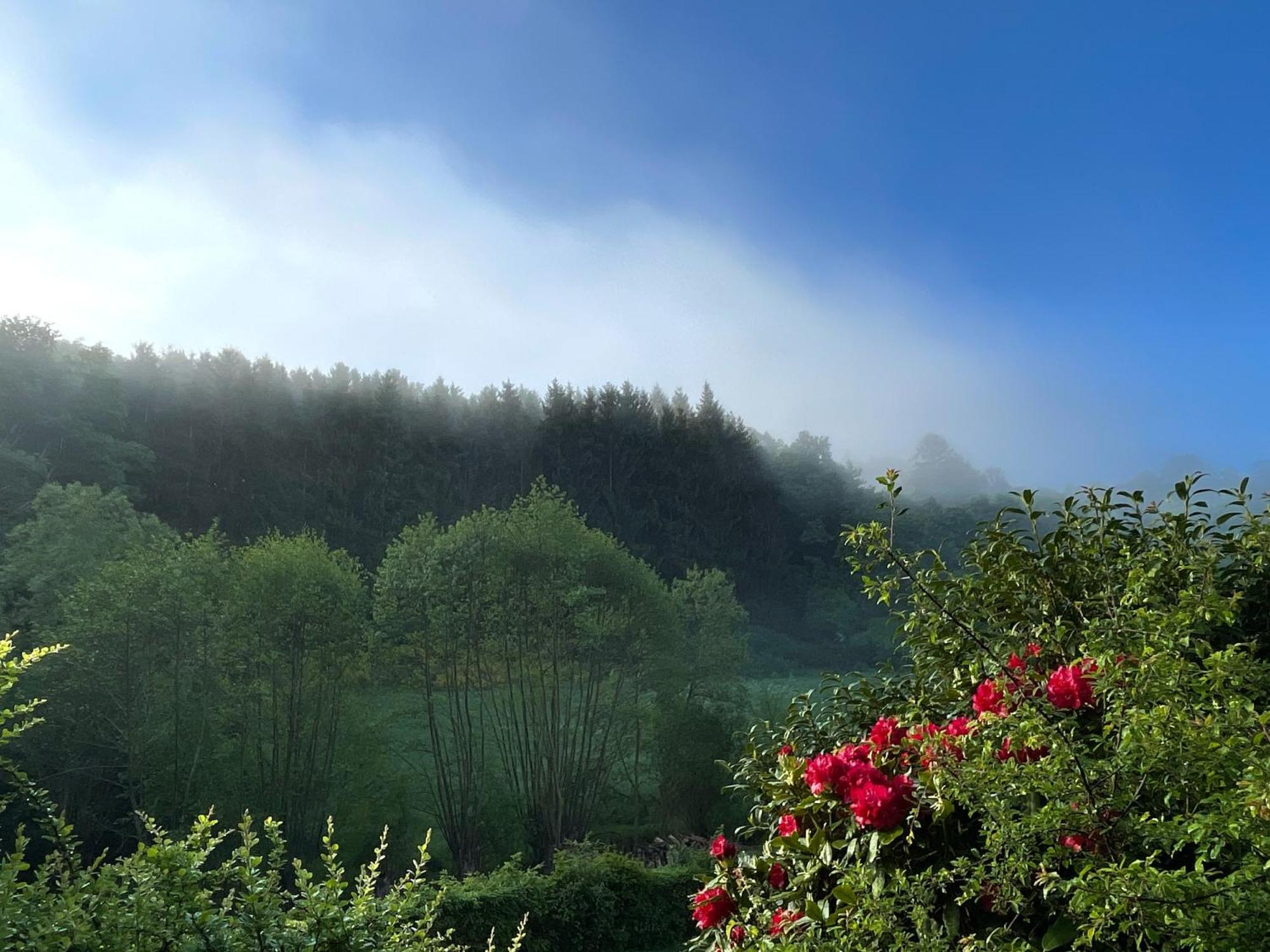 Willa House With A View - Modernes Ferienhaus In Der Eifel Antweiler Zewnętrze zdjęcie