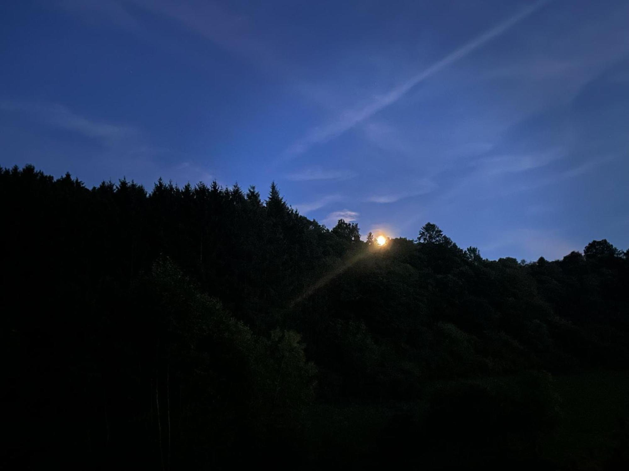 Willa House With A View - Modernes Ferienhaus In Der Eifel Antweiler Zewnętrze zdjęcie